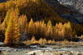 paysage_automne_124.jpg