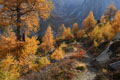 paysage_automne_126.jpg