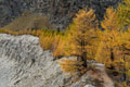 paysage_automne_155.jpg