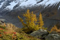 paysage_automne_159.jpg