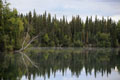 Kenai_Wildlife_105.jpg